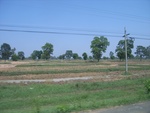 34644RIMG0111.JPG