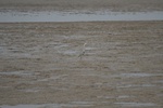 4136IMG_8773.JPG