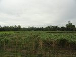 26126DSC01167.JPG