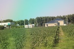 2024-08-05_14-25-25_B6A6FDB8-DBB8-4E98-A9E6-D534BECDF8B5.jpeg
