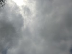 46234CIMG0523.JPG