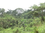 49041CIMG5378.JPG