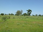 19453P1010300.JPG