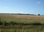 32553p204.jpg