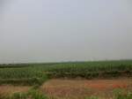 32923CIMG2068.JPG