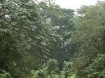 48382CIMG4719.JPG