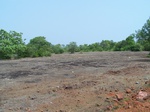 1714519042008(60).JPG