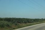 2024-06-17_21-26-49_EBAB4745-2E80-4444-8371-CEA6884BD46A.jpeg