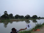 12371006c-irrigated-canal-nagarjunsagar-rice-dominant.gif