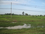 33349IMG_5689.JPG