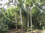 13945IMG_4235.JPG