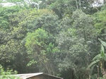 48813CIMG5150.JPG