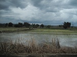 33532IMG_5784.JPG