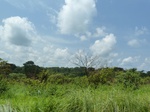 19788P1010637.JPG