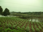 51672CIMG0507.JPG