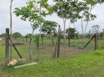 32112IMG_5536.JPG