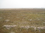 8494IMG_0319.JPG