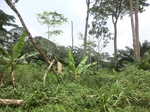 48965CIMG5302.JPG