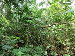 46411CIMG0700.JPG