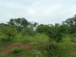 18732P1000570.JPG