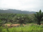 33648IMG_5837.JPG