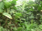 48111CIMG4448.JPG