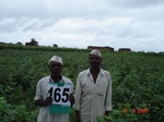 126070165d-irrigated-supplemental-major-lift-irrigation-maize-cotton-doublecrop-wheat-onion.gif