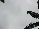 45757CIMG2842.JPG