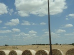 36004DSC02275.JPG