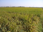442320071010gps 110.jpg