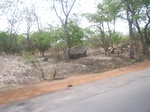 4030RIMG0334.JPG