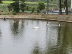 51671CIMG0504.JPG