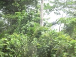48702CIMG5039.JPG