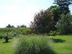 32528p184-2.jpg