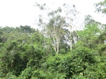 49788CIMG6125.JPG