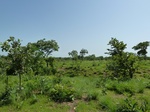 19482P1010329.JPG
