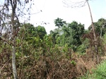 46573CIMG0862.JPG