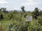 12135GT136_Fallow.jpg