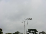 48627CIMG4964.JPG