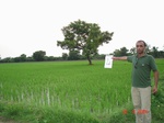 12365004c-irrigation(groundwater)-cotton-sorgum-rice-fruits-grasses.gif