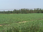 17577100_2514.JPG