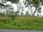 20518P1020375.JPG