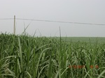 33121CIMG2356.JPG