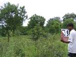 1180174-scrubland-with-good-tree-cover-a.gif
