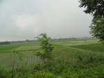 21724DSC00266.JPG
