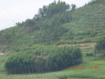 34787CIMG2618.JPG