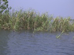 646R0015154.jpg