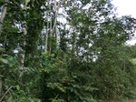 46592CIMG0881.JPG