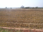 4632RIMG0063.JPG