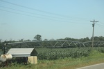 2024-06-17_21-26-50_24747D9A-1B34-40C5-BC62-9A29A7EAB7DF.jpeg